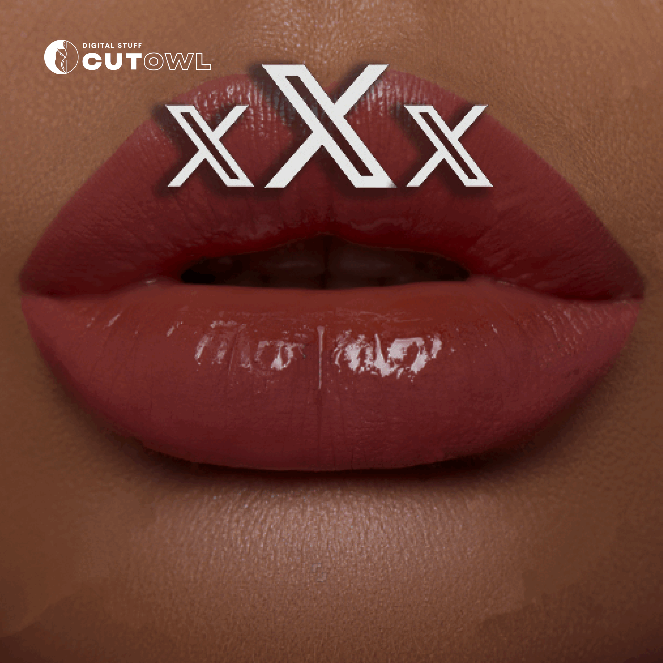 Elon Musk e i contenuti per adulti su X